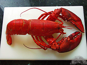 Ensalada de bogavante y aguacate 1