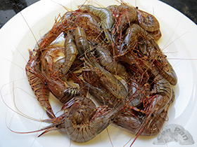 Quisquillon a la sarten 1